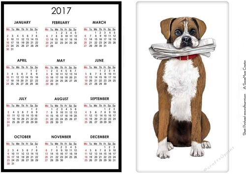Boxer with Newspaper Calendar