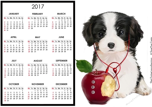Apple Player! Calendar