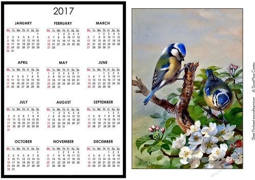  Blue Tits Calendar