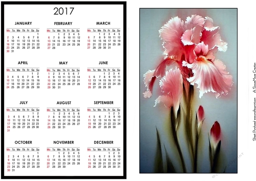 Pink Iris Calendar
