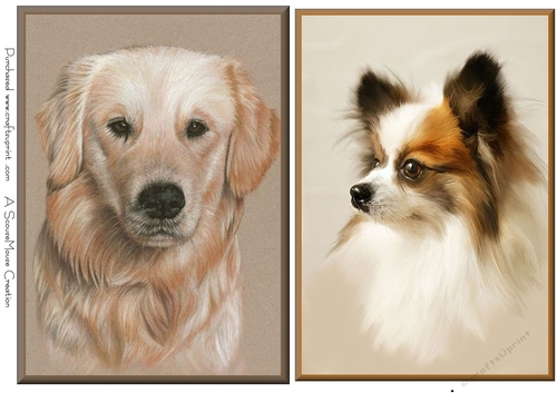 Golden Lab and Papillon Toppers