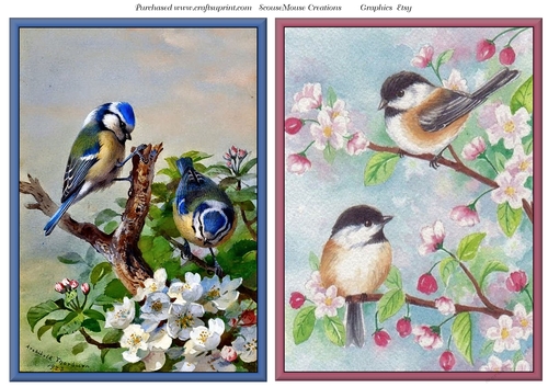 Blue Tits and Cherry Blossom Birds