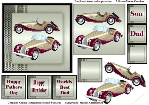 Red/Gold Morgans 