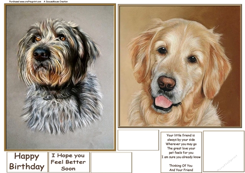 Monty & Goldie Toppers
