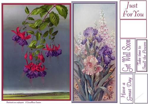  Falling Fuschias and Iris Foxgloves Toppers