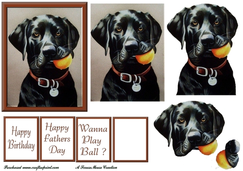 Bruce wants to play ball Decoupage