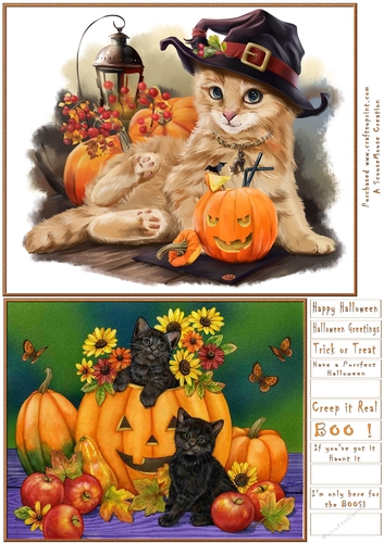 Halloween Cat and Pumpkin  Kitties Toppers
