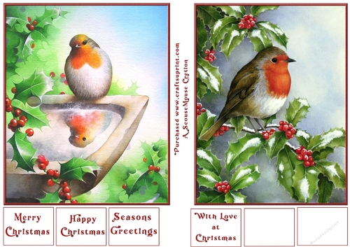 Robin Reflection and Holly Robin Toppers