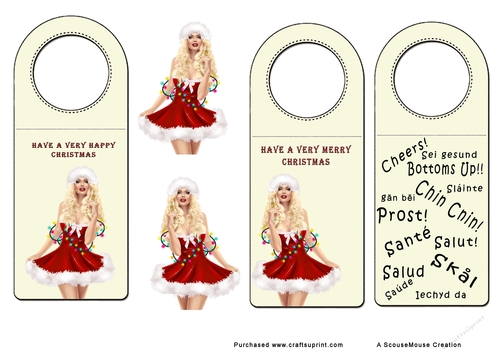Bottle tags 5 Christmas 2