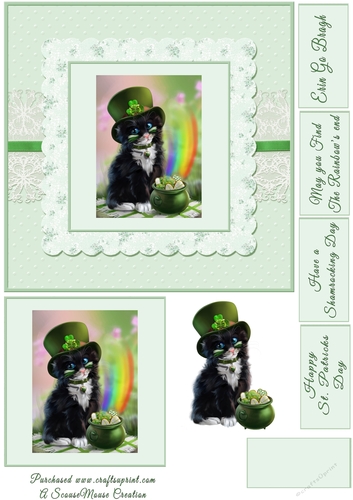  Quick Card St. Patricks Day Lucky No Sentiment