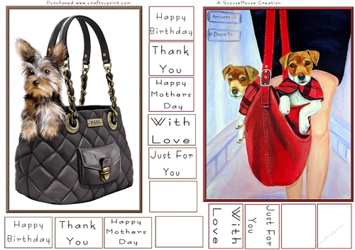Yorkie in a bag and A Bag of Jack Russell Fun Toppers