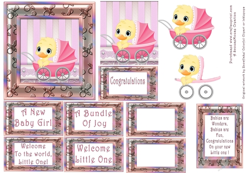 Baby Girl Step By Step