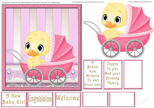 Baby Girl Quick Card