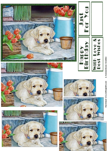 Cute Pups and Flowers Pyramid 2