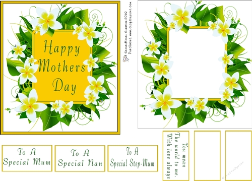 Mothers Day Daffs Quick Card