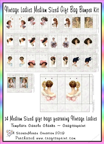 Vintage Medium Sized Gift Bags Value Kit