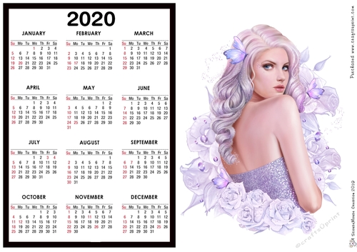 2020  Calendar Pink Butterfly Lady