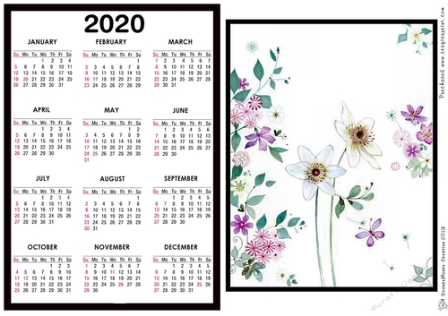 2020 Calendar -  White Floral