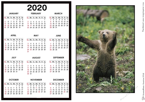 2020 Calendar -  Landscape Bear hug