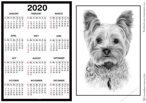 2020 Calendar -  Landscape Drawn Yorkie