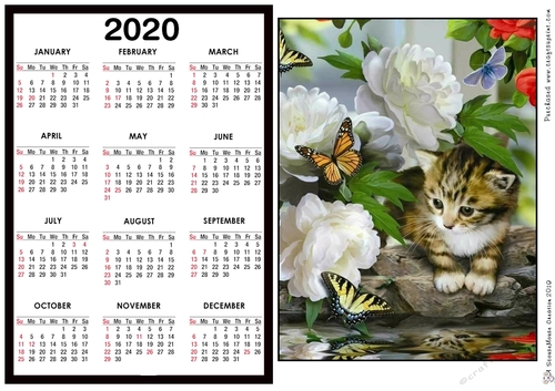 2020 Calendar -  Landscape Kitty in the flowers