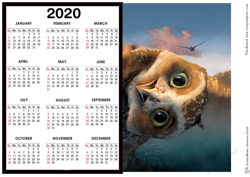 2020 Calendar -  Landscape Well Hello Owl