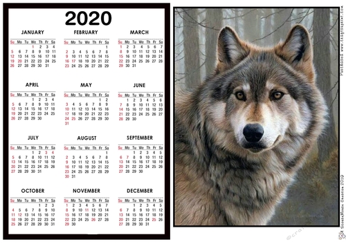 2020 Calendar -  Landscape Wolf