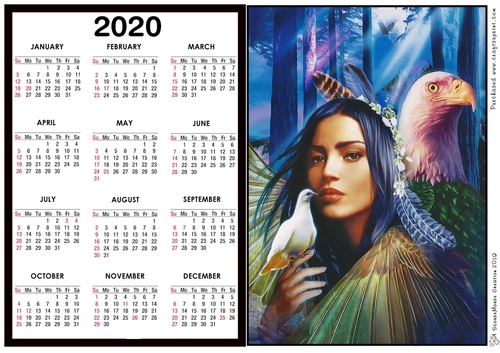 2020 Calendar -  Landscape NA Bird Maiden