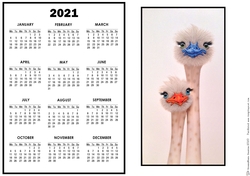2021 Calendar 2 Cute Emus