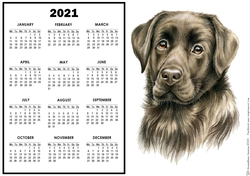 2021 Calendar Bertie