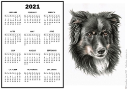 2021 Calendar Collie