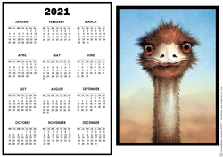 2021 Calendar Ostrich