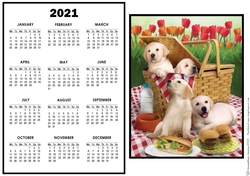 2021 Calendar Picnic Stowaways