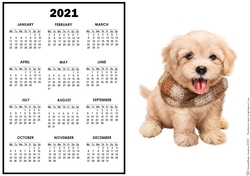 2021 Calendar Miko