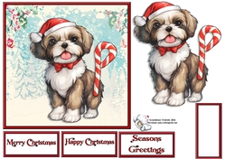 Shih Tzu pup with candy cane