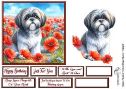 Poppy Field Dog  (2) 2