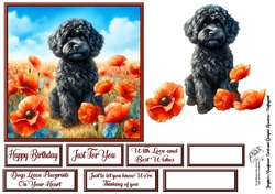 Poppy Field Dog (5) 3