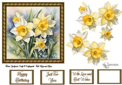 Spring Daffs in Acanthus Frame