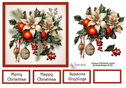 Xmas Poinsettias