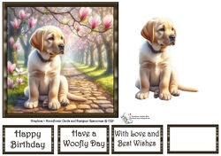 Magnolia Grove Pups (7) 3