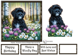 Beautiful Birch Forest Dogs (5) 3