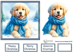 Golden puppy with blue scarf 2