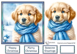 Golden puppy with blue scarf 4