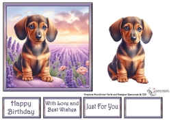 Lavender Fields Pups (2) 4