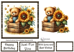 Sunflower Box Bear 2