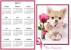 Pink Be Aware Calendar