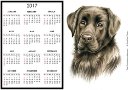 Chocolate Lab Calendar