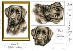 Chocolate Lab Sheet