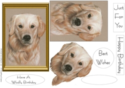 Golden Lab Sheet
