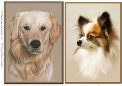 Golden Lab and Papillon Toppers